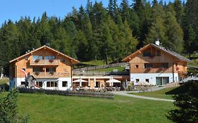 Roner Alm